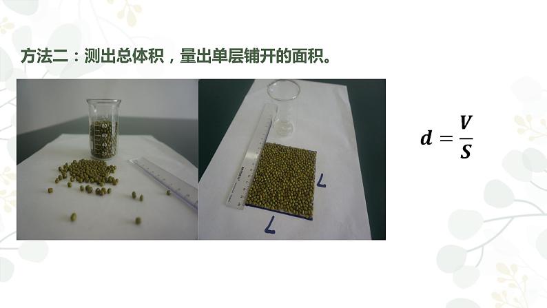 第一章第二节 实验：用油膜法估测油酸分子的大小课件  高二下学期物理人教版（2019）选择性必修第三册+第5页