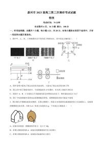 2023届广东省惠州市高三下学期第三次调研（月考）物理试题PDF版含答案