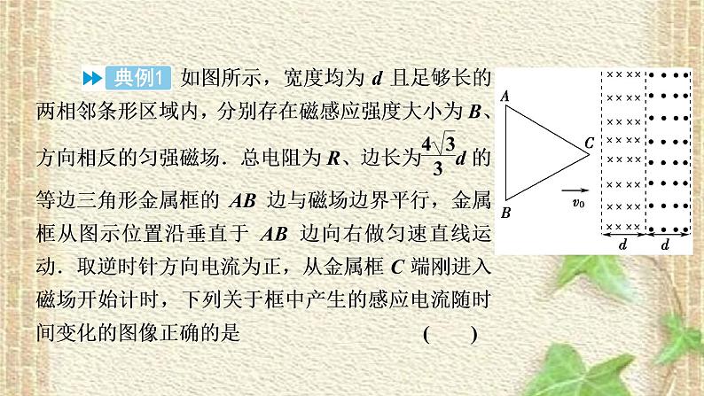 2022-2023年高考物理二轮复习 巧解单选题课件(重点难点易错点核心热点经典考点)第3页