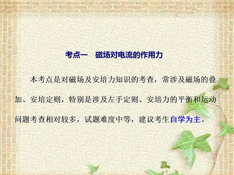 2022-2023年高考物理一轮复习 磁场的基本性质课件(重点难点易错点核心热点经典考点)02