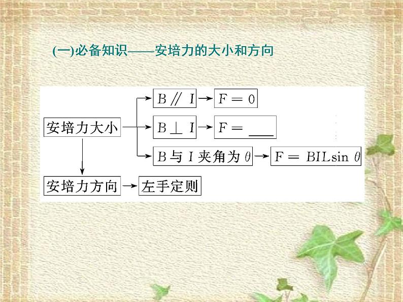 2022-2023年高考物理一轮复习 磁场的基本性质课件(重点难点易错点核心热点经典考点)03