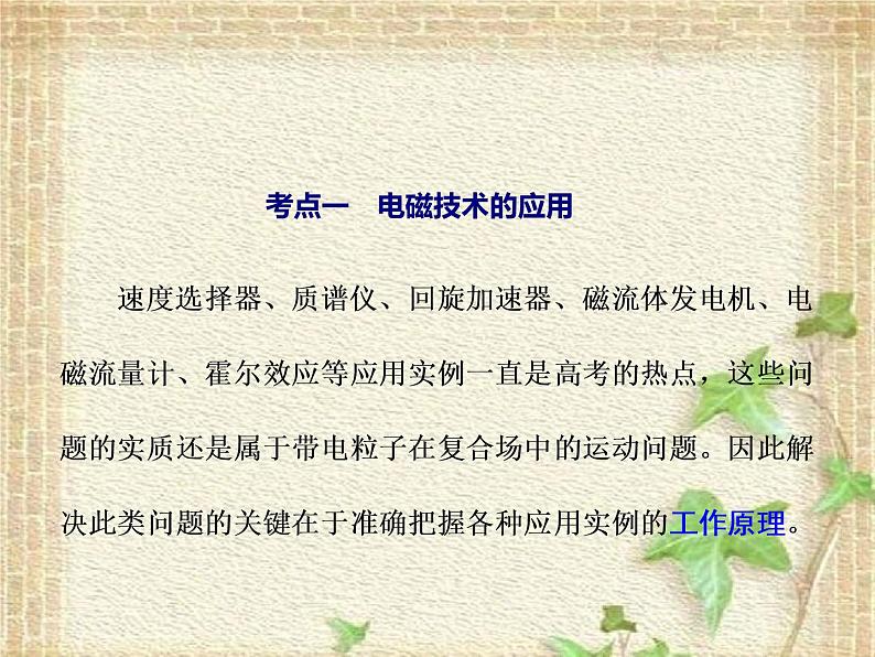 2022-2023年高考物理一轮复习 带电粒子在复合场中的运动课件 (2)(重点难点易错点核心热点经典考点)第2页