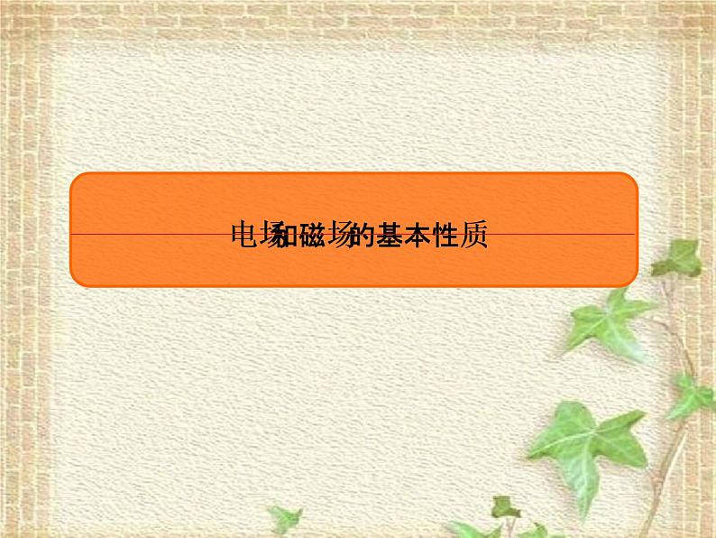 2022-2023年高考物理一轮复习 电场和磁场的基本性质课件 (2)(重点难点易错点核心热点经典考点)01