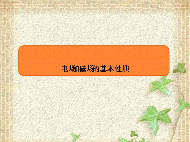 2022-2023年高考物理一轮复习 电场和磁场的基本性质课件(重点难点易错点核心热点经典考点)第1页