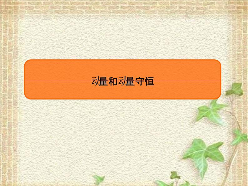 2022-2023年高考物理一轮复习 动量和动量守恒课件(重点难点易错点核心热点经典考点)01