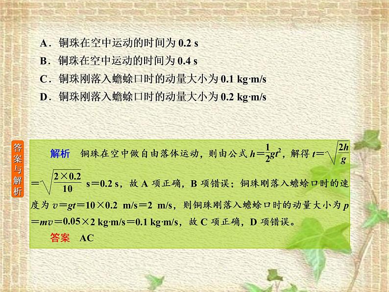 2022-2023年高考物理一轮复习 动量和能量课件(重点难点易错点核心热点经典考点)第3页