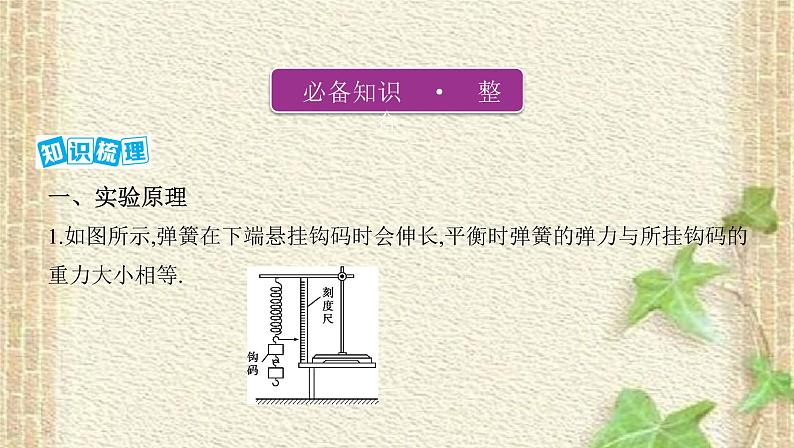 2022-2023年高考物理一轮复习 实验：探究弹簧弹力与形变量的关系课件 (2)(重点难点易错点核心热点经典考点)02