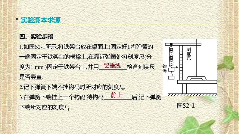 2022-2023年高考物理一轮复习 实验：探究弹力和弹簧伸长的关系课件(重点难点易错点核心热点经典考点)第4页