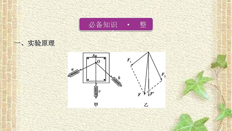 2022-2023年高考物理一轮复习 实验2探究求合力的方法课件(重点难点易错点核心热点经典考点)第2页