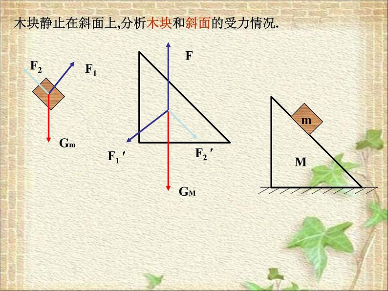 2022-2023年高考物理一轮复习 物体的受力分析课件(重点难点易错点核心热点经典考点)第8页