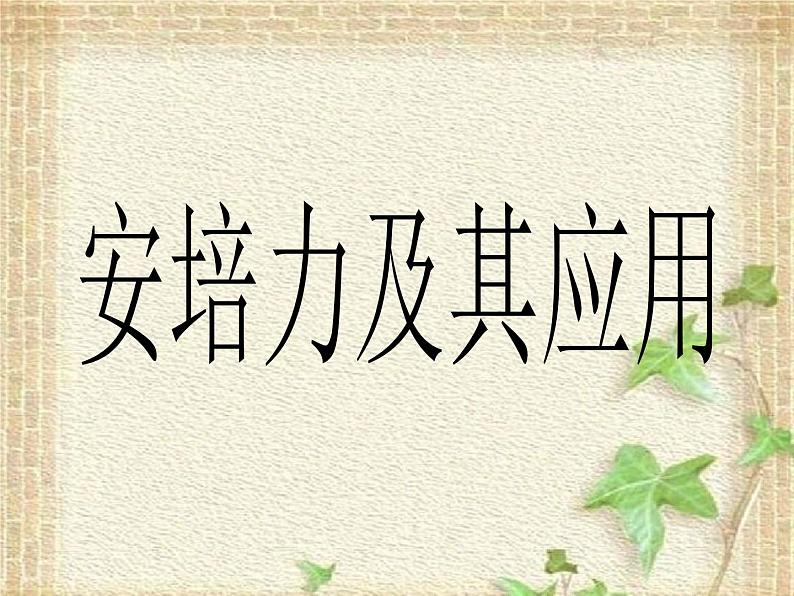 2022-2023年鲁科版(2019)新教材高中物理选择性必修2 第1章安培力与洛伦兹力1.1安培力及其应用课件01