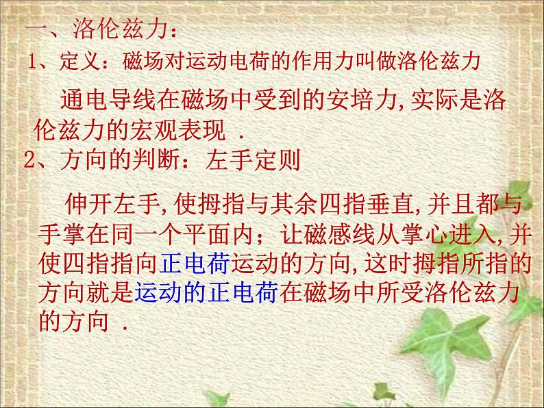 2022-2023年人教版(2019)新教材高中物理选择性必修2 第1章安培力与洛伦兹力1.2磁场对运动电荷的作用力课件03