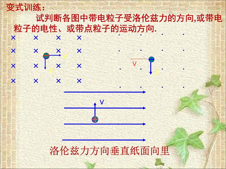 2022-2023年人教版(2019)新教材高中物理选择性必修2 第1章安培力与洛伦兹力1.2磁场对运动电荷的作用力课件06