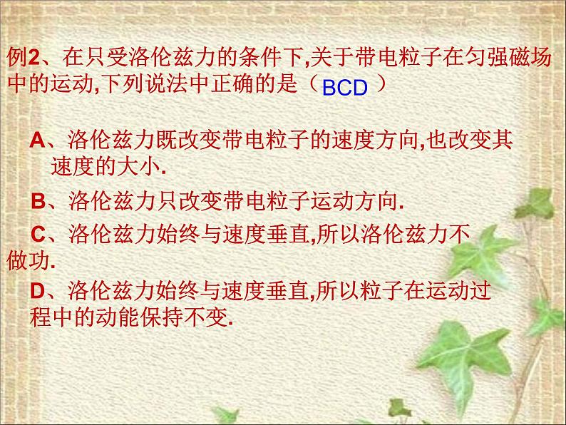 2022-2023年人教版(2019)新教材高中物理选择性必修2 第1章安培力与洛伦兹力1.2磁场对运动电荷的作用力课件08