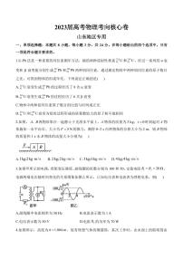 2022-2023学年山东省高三下学期高考考向核心卷（新高考） 物理（PDF版）