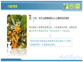 第一章第一節(jié)分子動(dòng)理論的基本內(nèi)容 課件 高二下學(xué)期物理人教版（2019）選擇性必修第三冊