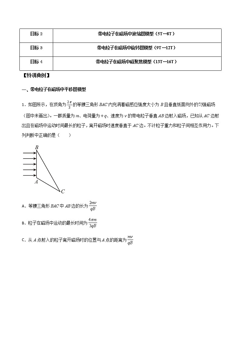 高考物理一轮复习【专题练习】 专题59 带电粒子在磁场中的平移圆、放缩圆、旋转圆、磁聚焦模型02