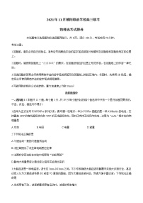 2021-2022学年浙江省稽阳联谊学校高三上学期11月联考物理含答案