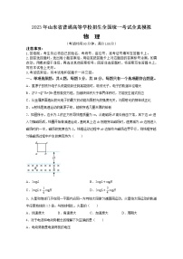 2023年山东省普通高等学校招生全国统一考试全真模拟物理试卷（Word版附答案）