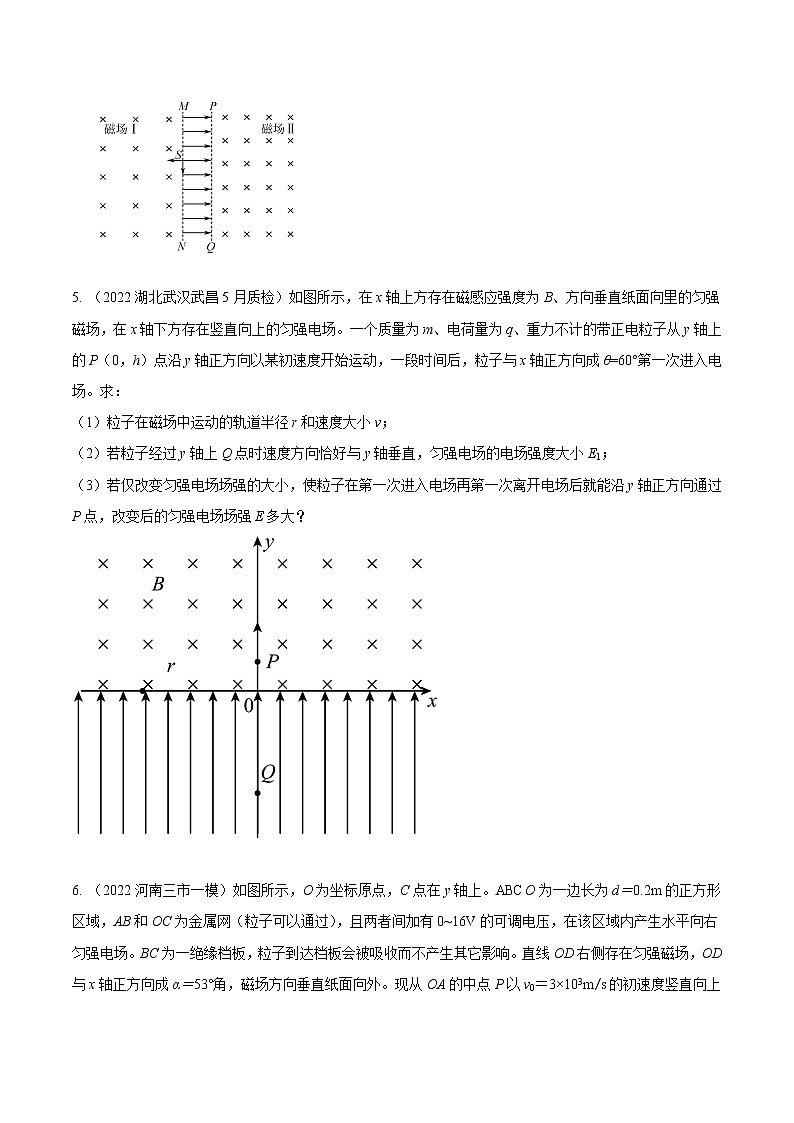 专题13 电场+磁场模型-高考物理磁场常用模型最新模拟题精练03