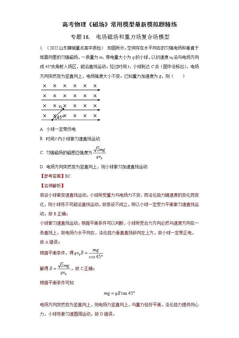 专题18 电场磁场与重力场复合场模型-高考物理磁场常用模型最新模拟题精练01