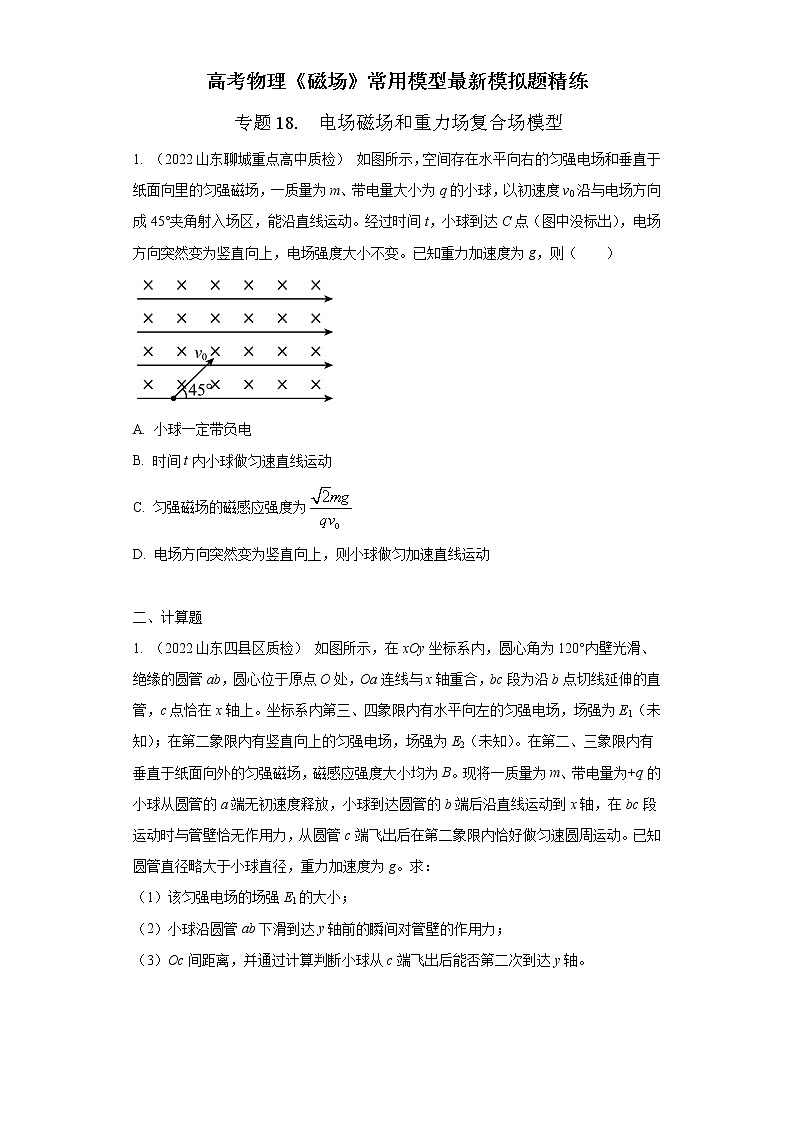 专题18 电场磁场与重力场复合场模型-高考物理磁场常用模型最新模拟题精练01