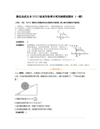 湖北省武汉市2023届高考物理专项突破模拟题库（一模）含解析