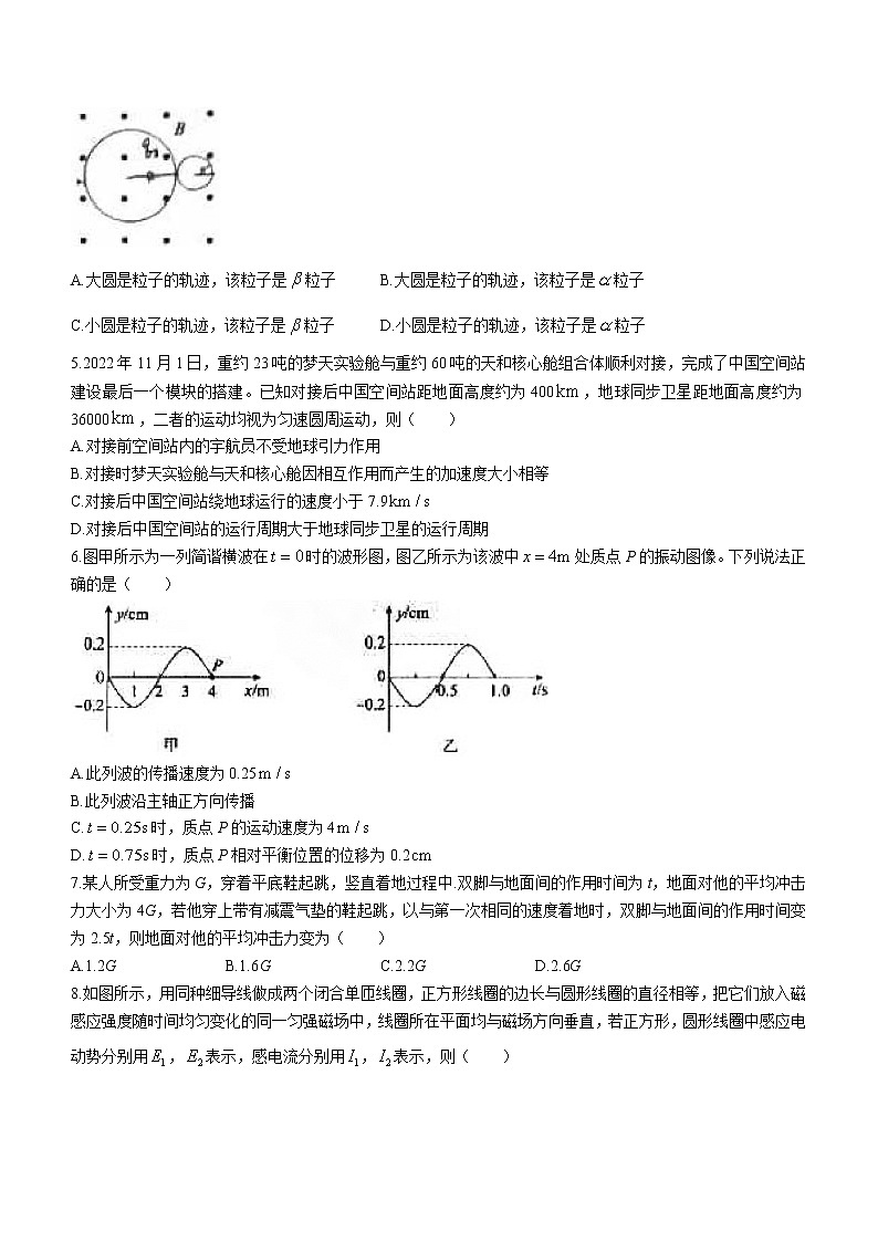 2023届北京市东城区高三下学期综合练习物理试题（一）(含答案)02