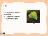 鲁科版高中物理选择性必修第三册·第5章 第1节认识原子核（课件PPT）