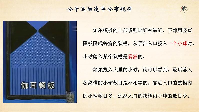 第一单元第三节分子运动速率分布规律 课件 高二下学期物理人教版（2019）选择性必修第三册 (1)02