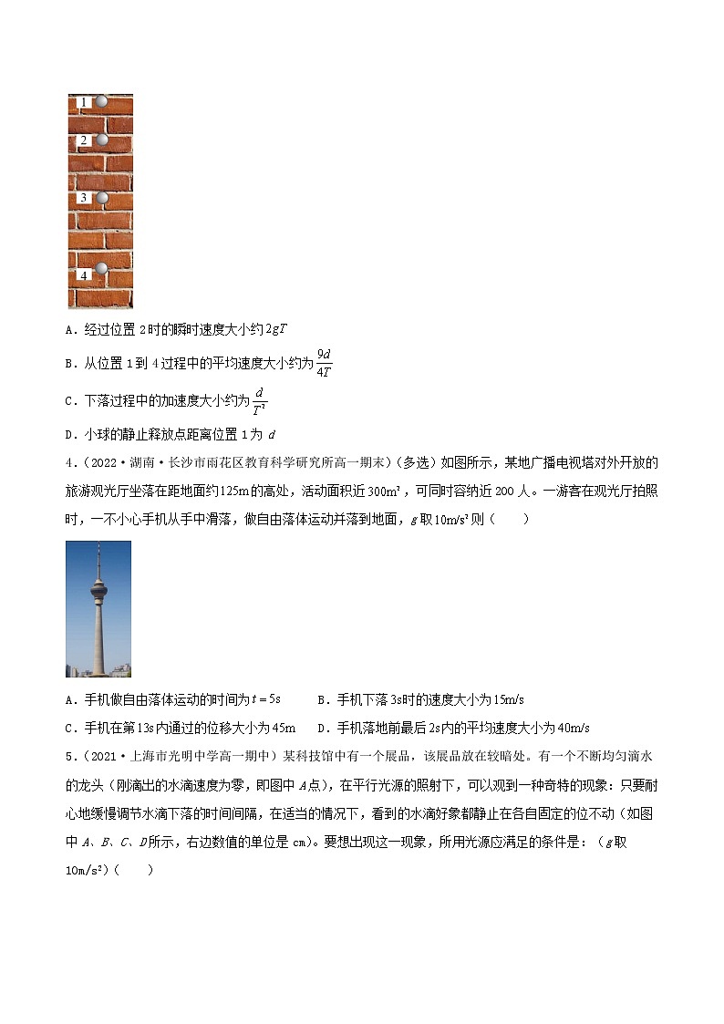 2.4 自由落体运动（分层练习）（原卷）第2页
