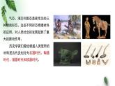 2022-2023年粤教版(2019)新教材高中物理选择性必修3 第2章气体液体和固体第6节新材料课件