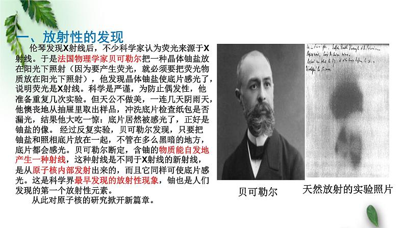 2022-2023年粤教版(2019)新教材高中物理选择性必修3 第5章原子与原子核第2节放射性元素的衰变课件第3页