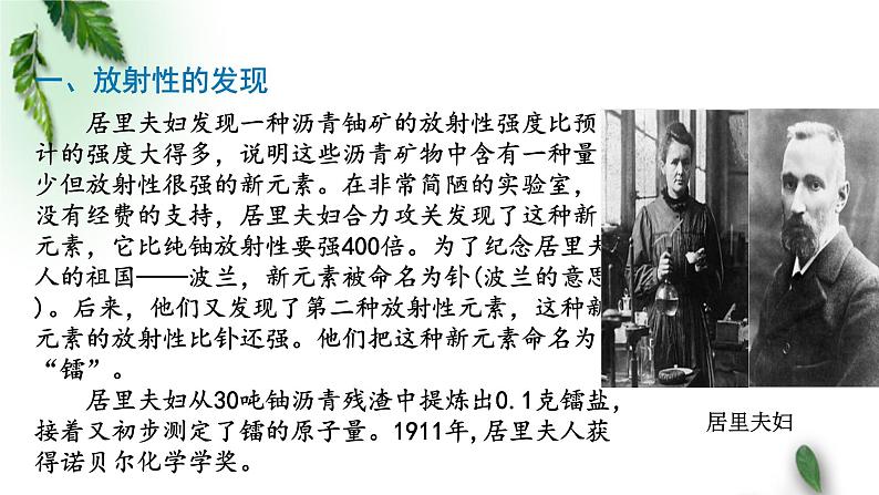 2022-2023年粤教版(2019)新教材高中物理选择性必修3 第5章原子与原子核第2节放射性元素的衰变课件第4页