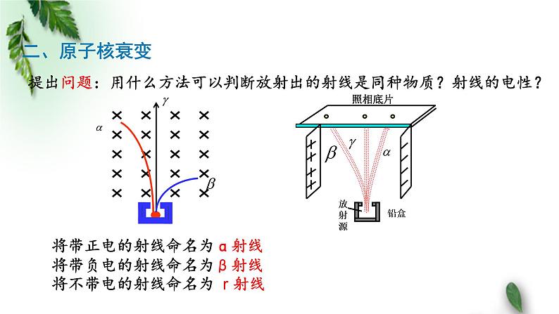 2022-2023年粤教版(2019)新教材高中物理选择性必修3 第5章原子与原子核第2节放射性元素的衰变课件第8页