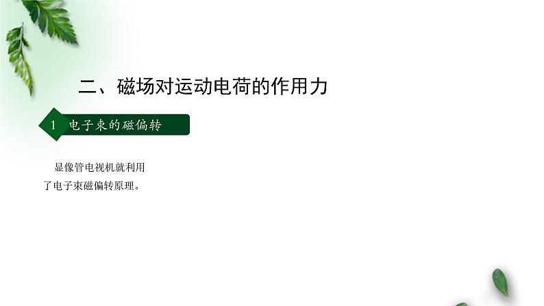 2022-2023年人教版(2019)新教材高中物理选择性必修2 第1章安培力与洛伦兹力第2节磁场对运动电荷的作用力(第二课时)课件第3页