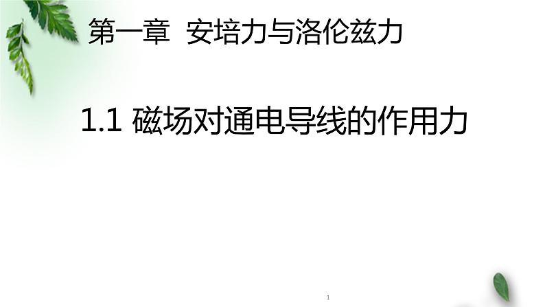 2022-2023年人教版(2019)新教材高中物理选择性必修2 第1章安培力与洛伦兹力第1节磁场对通电导线的作用力课件01