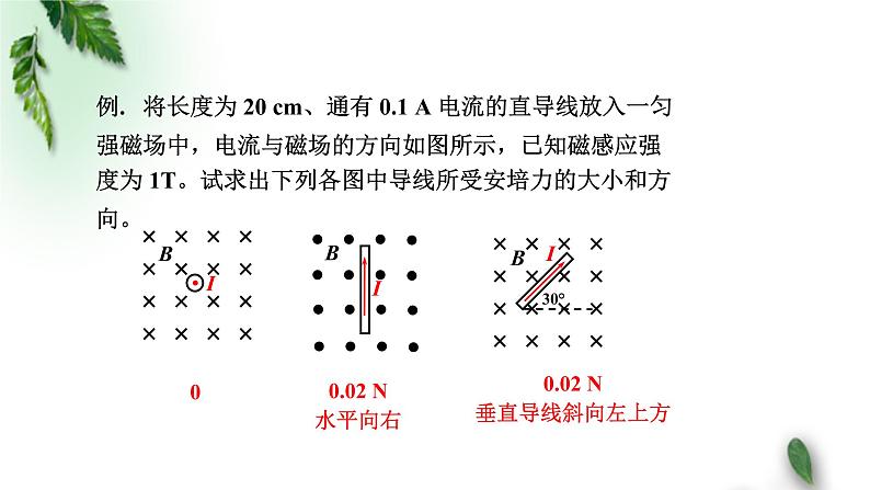 2022-2023年人教版(2019)新教材高中物理选择性必修2 第1章安培力与洛伦兹力第1节磁场对通电导线的作用力(第二课时)课件第5页