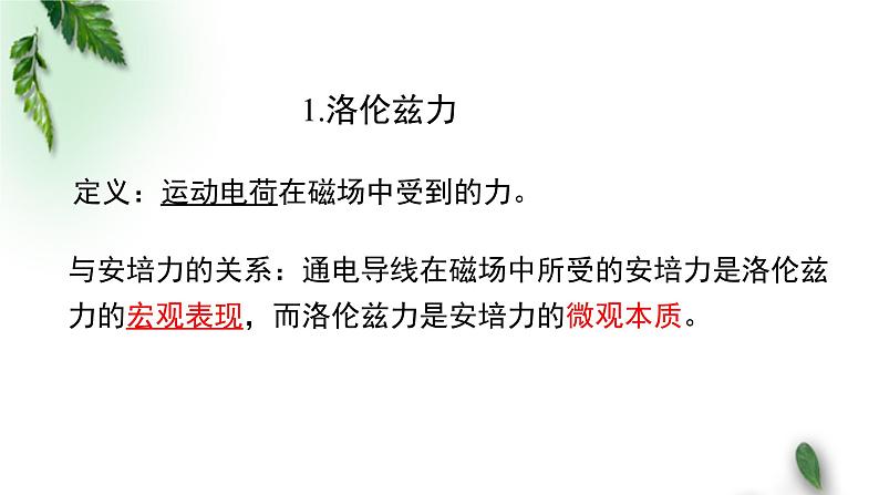 2022-2023年粤教版(2019)新教材高中物理选择性必修2 第1章磁场第3节洛仑兹力课件04