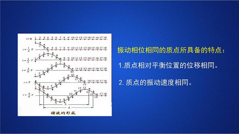 2022-2023年人教版(2019)新教材高中物理选择性必修1 第3章机械波第2节波的描述(1)课件第5页