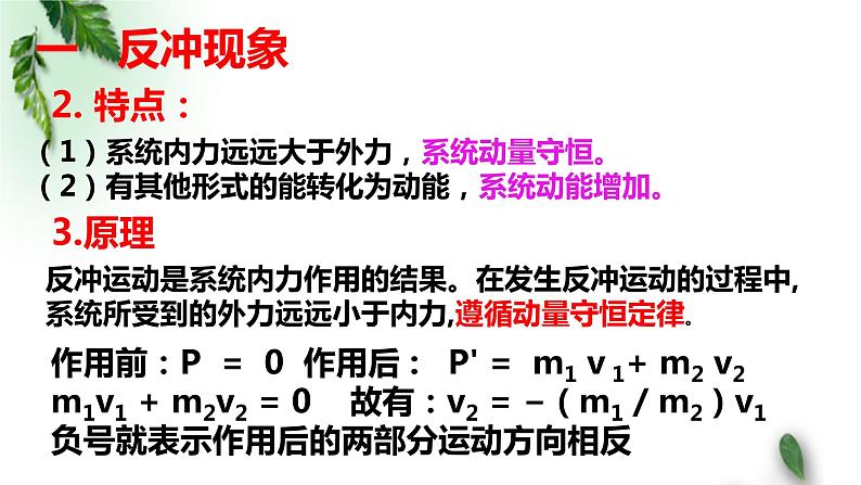 2022-2023年人教版(2019)新教材高中物理选择性必修1 第1章动量守恒定律第6节反冲现象火箭(1)课件第6页