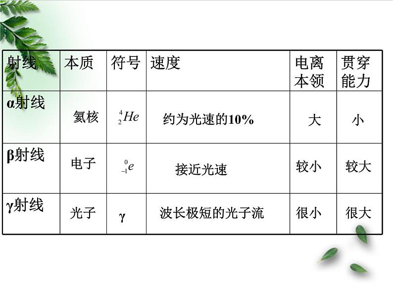 2022-2023年人教版(2019)新教材高中物理选择性必修3 第5章原子核第1节原子核的组成课件06