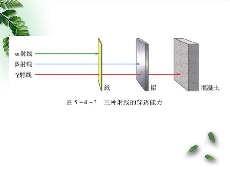 2022-2023年人教版(2019)新教材高中物理选择性必修3 第5章原子核第1节原子核的组成课件07