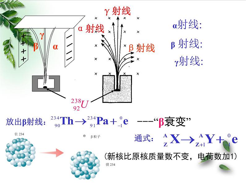 2022-2023年人教版(2019)新教材高中物理选择性必修3 第5章原子核第2节放射性元素的衰变(1)课件第3页