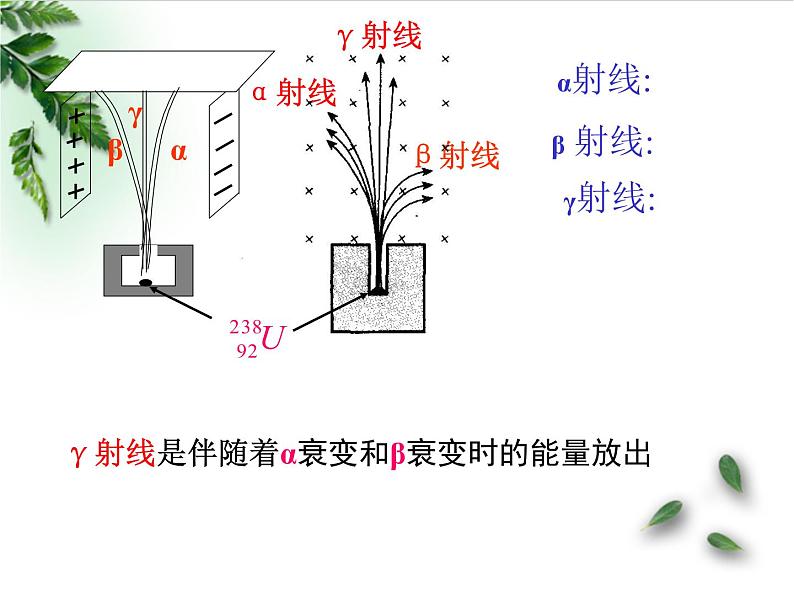 2022-2023年人教版(2019)新教材高中物理选择性必修3 第5章原子核第2节放射性元素的衰变(1)课件第4页