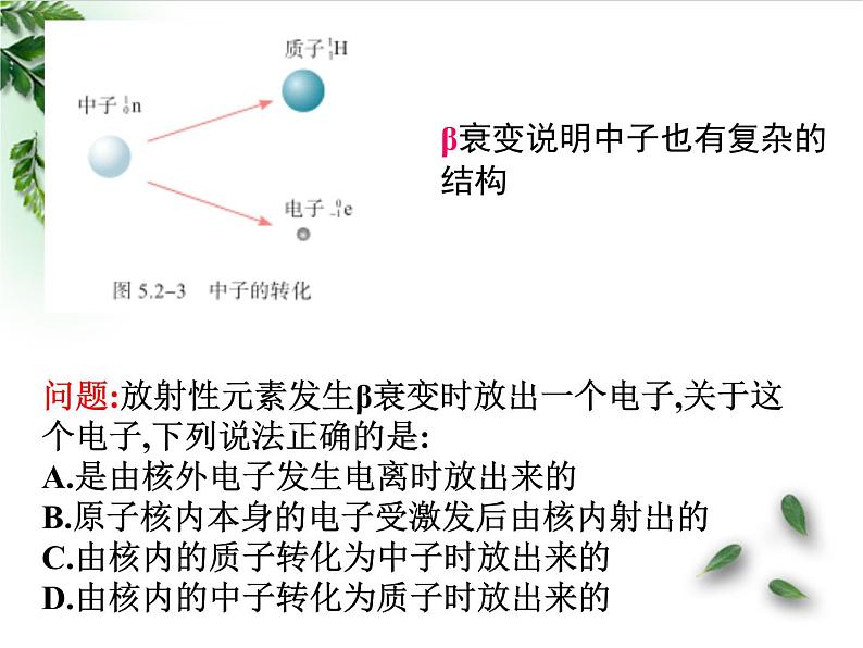 2022-2023年人教版(2019)新教材高中物理选择性必修3 第5章原子核第2节放射性元素的衰变(1)课件第5页