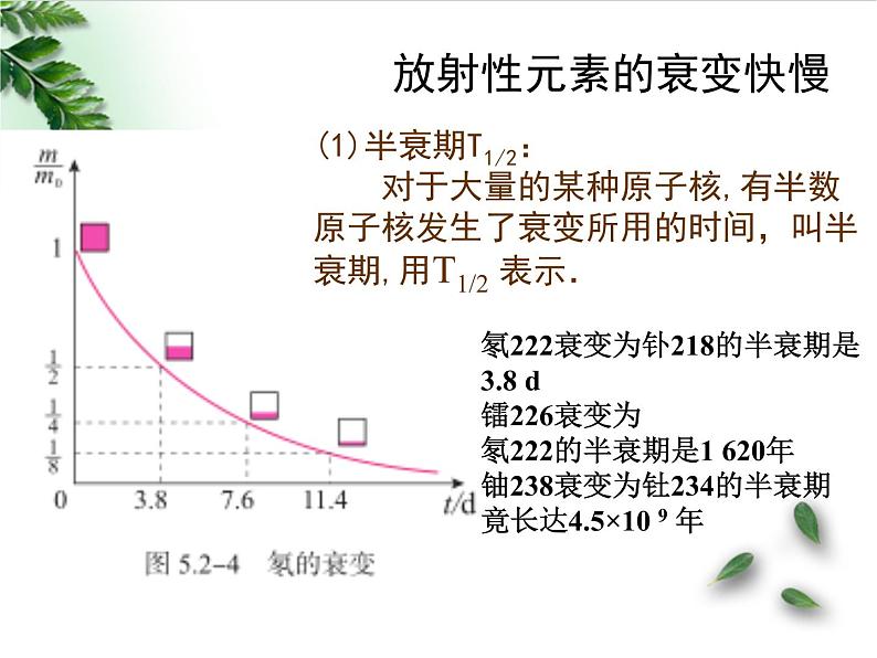 2022-2023年人教版(2019)新教材高中物理选择性必修3 第5章原子核第2节放射性元素的衰变(1)课件第7页