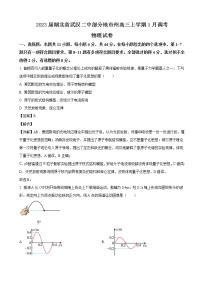 2023届湖北省武汉二中部分地市州高三上学期1月调考物理试卷（解析版）