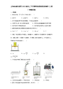 上海市浦东新区2023届高三下学期等级模拟质量调研（二模）物理试题（原卷+解析）