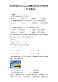 上海市普陀区2023届高三上学期期末质量调研高考物理模拟（一模）物理试题（原卷+解析）